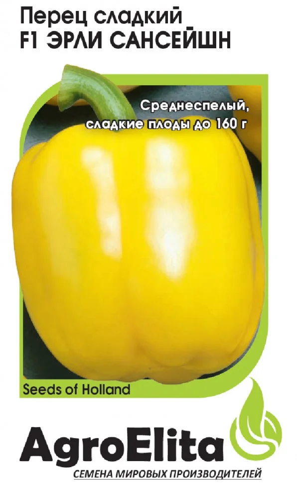 Эрли Сансейшн 