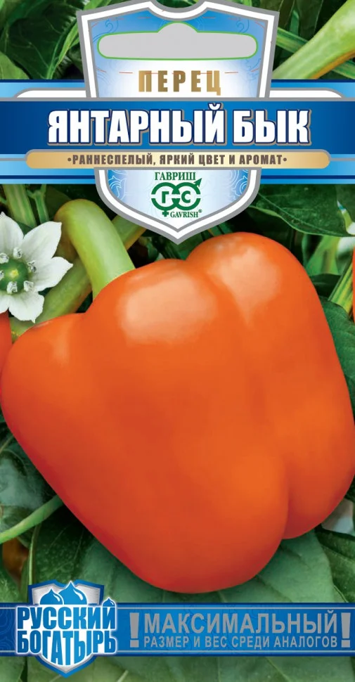 Янтарный бык 