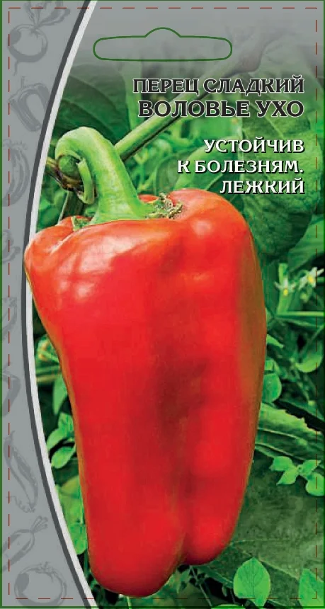 Миниатюра изображения сорта Воловье ухо