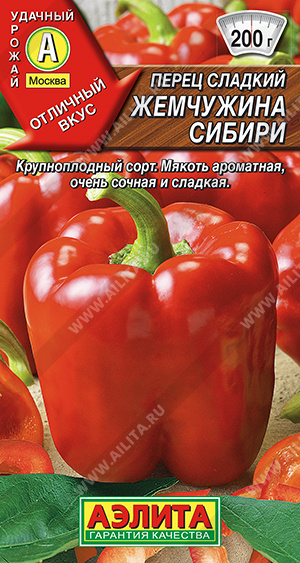 Жемчужина Сибири