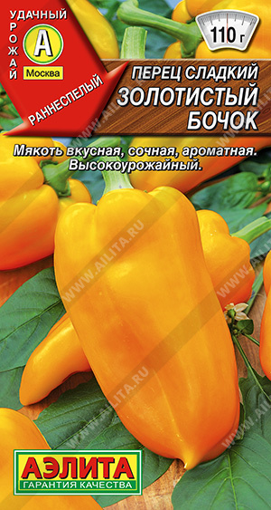 Золотистый бочок