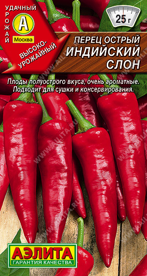 Индийский слон