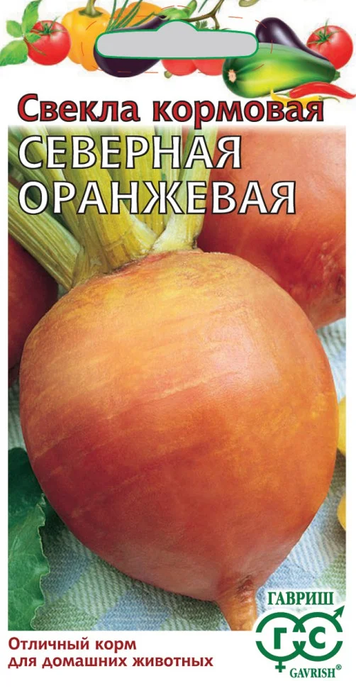 Северная оранжевая