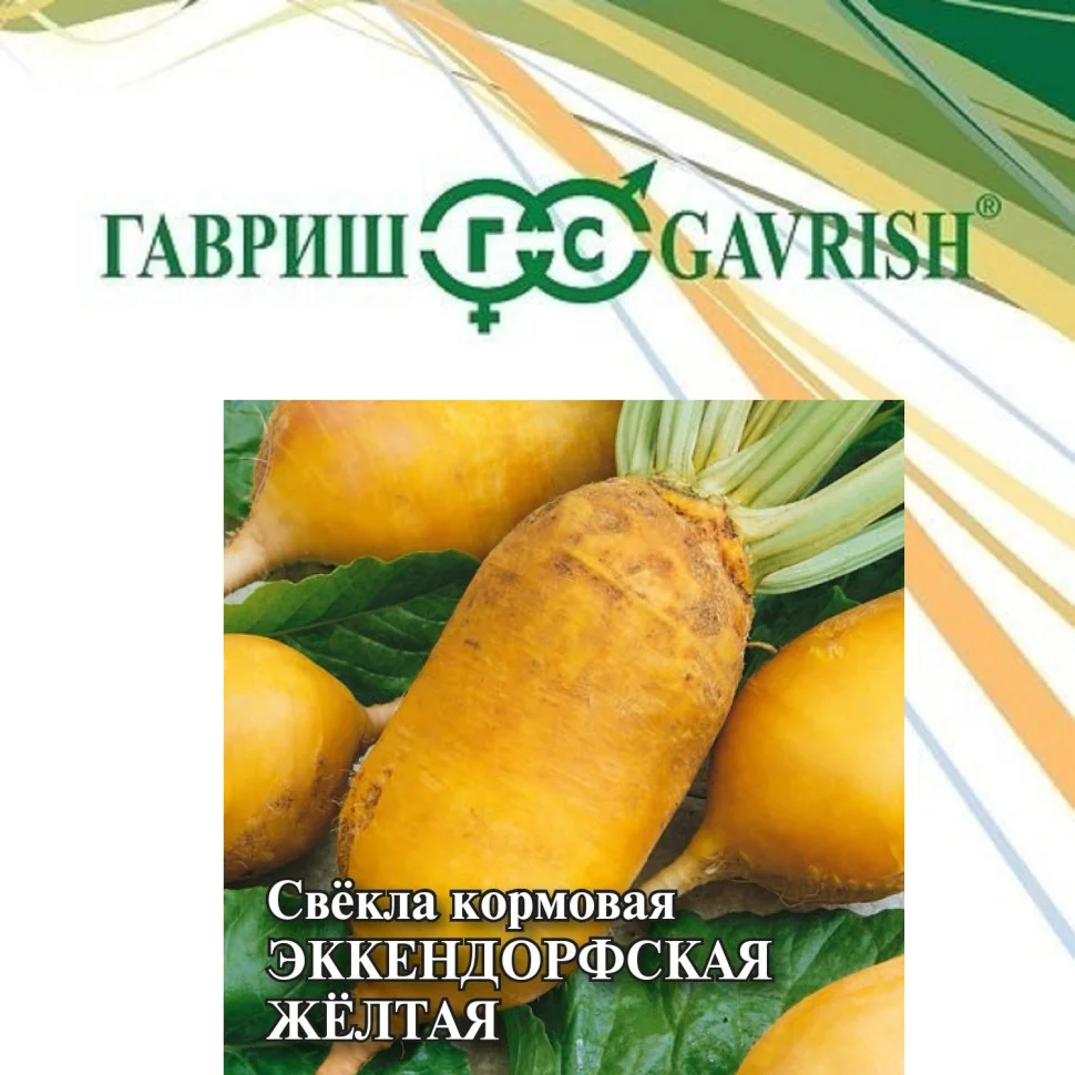 Миниатюра изображения сорта Эккендорфская желтая