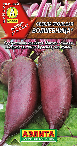 Волшебница