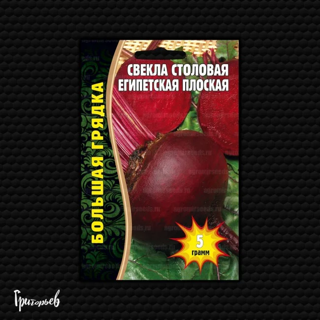 Миниатюра изображения сорта Египетская плоская