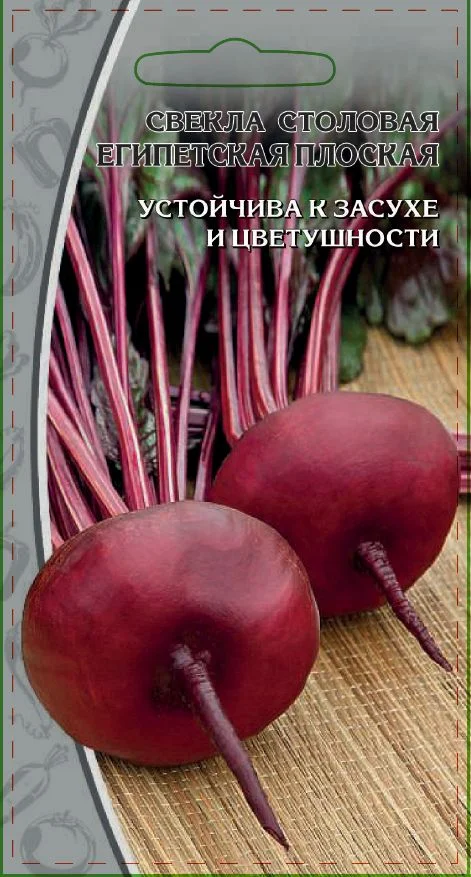 Миниатюра изображения сорта Египетская плоская