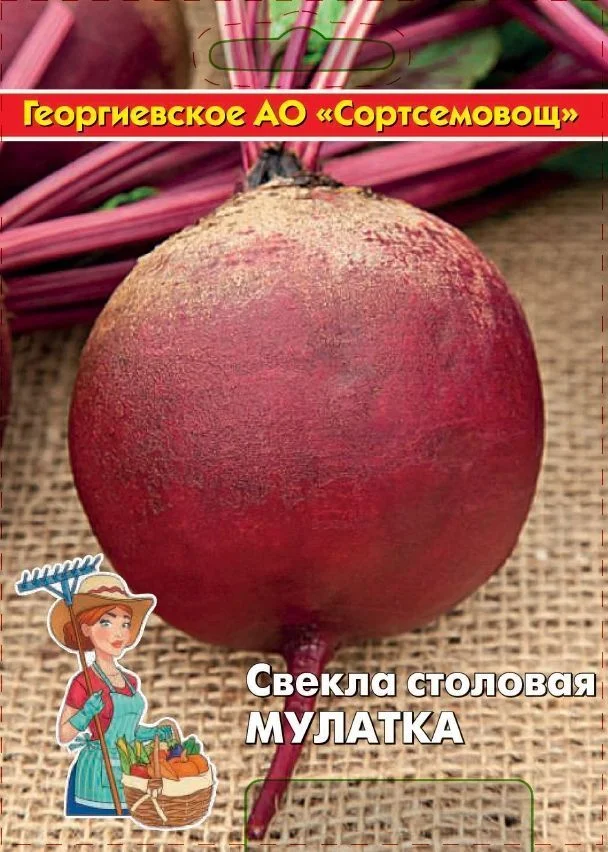 Миниатюра изображения сорта Мулатка