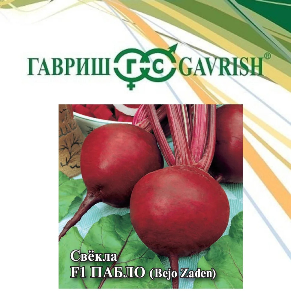 Миниатюра изображения сорта Пабло