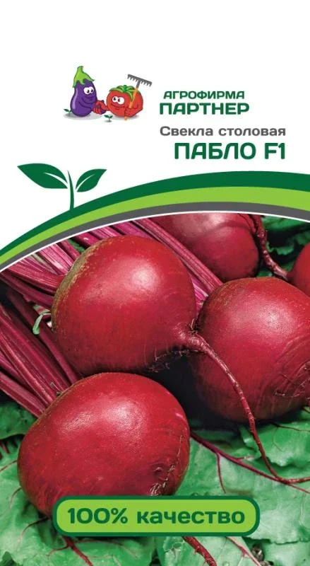 Миниатюра изображения сорта Пабло