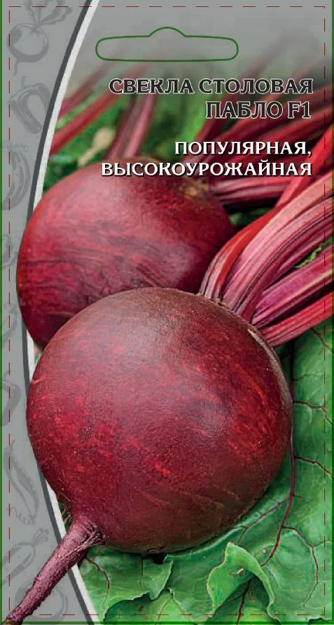 Миниатюра изображения сорта Пабло