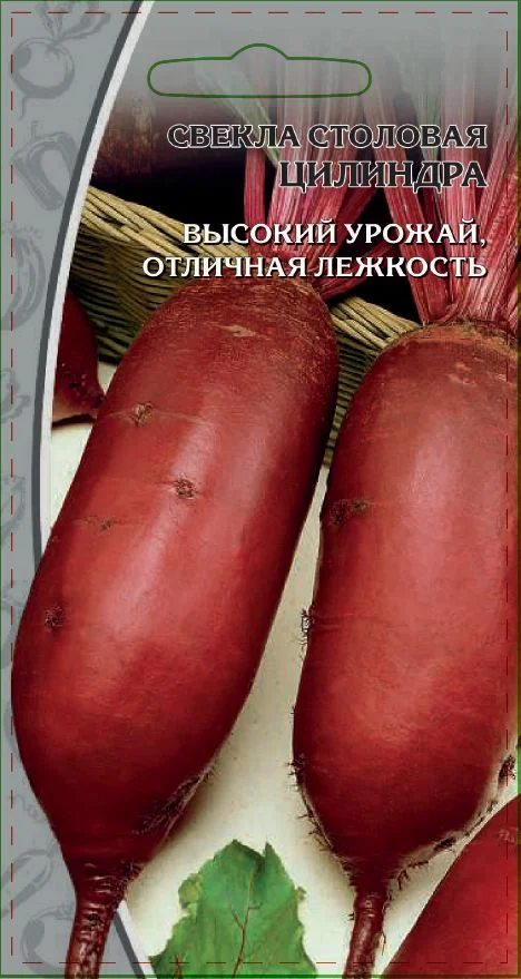 Миниатюра изображения сорта Цилиндра