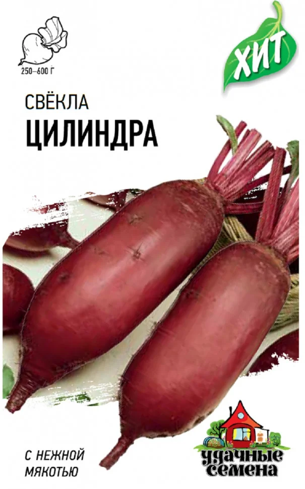 Миниатюра изображения сорта Цилиндра одноростковая