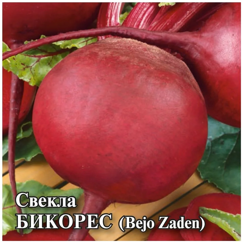 Миниатюра изображения сорта Бикорес