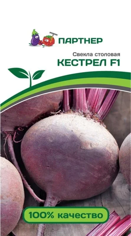 Миниатюра изображения сорта Кестрел 