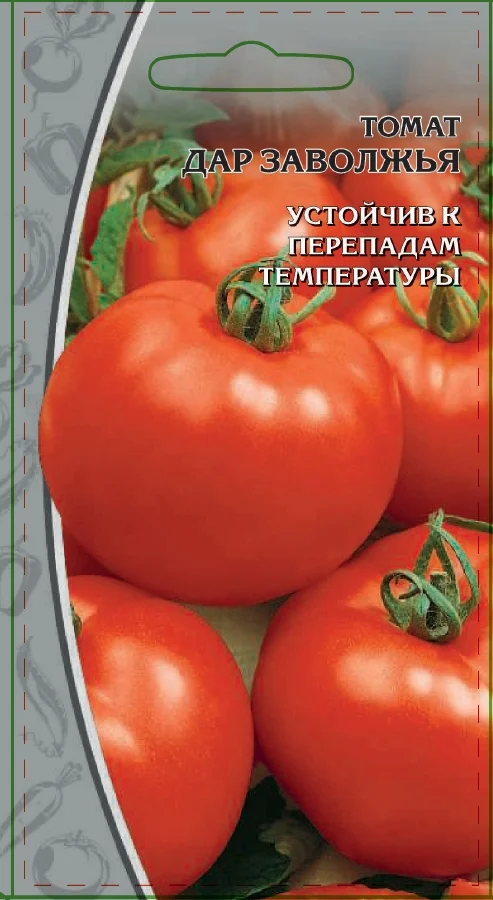 Миниатюра изображения сорта Дар Заволжья 