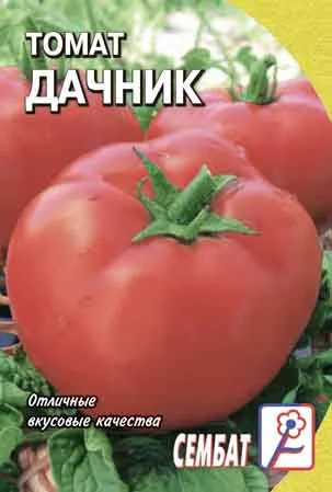 Миниатюра изображения сорта Дачник