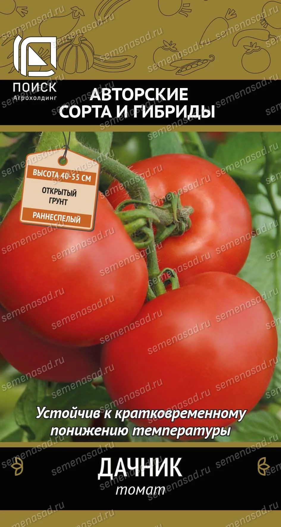 Миниатюра изображения сорта Дачник