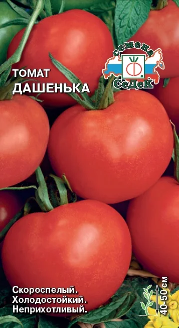 Дашенька