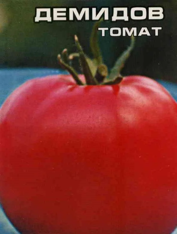 Демидов 