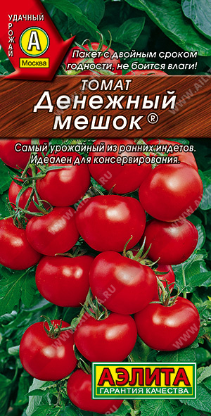 Денежный мешок