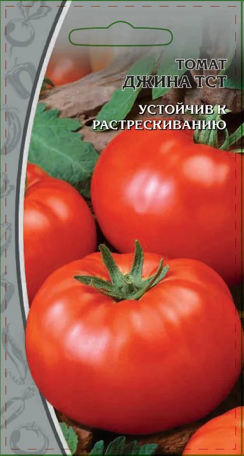 Миниатюра изображения сорта Джина ТСТ