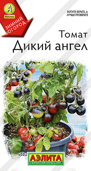 Дикий ангел