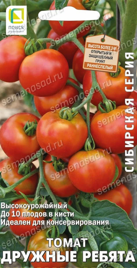 Дружные Ребята