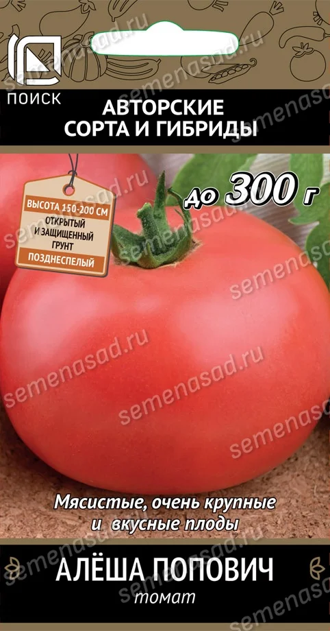 Алеша Попович