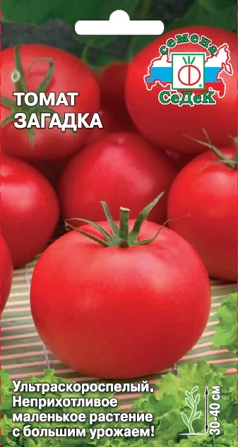 Миниатюра изображения сорта Загадка