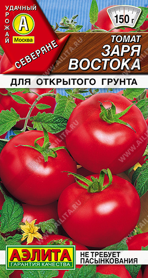 Заря Востока