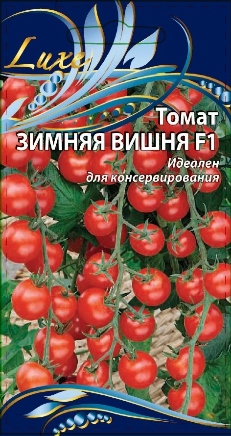 Зимняя вишня