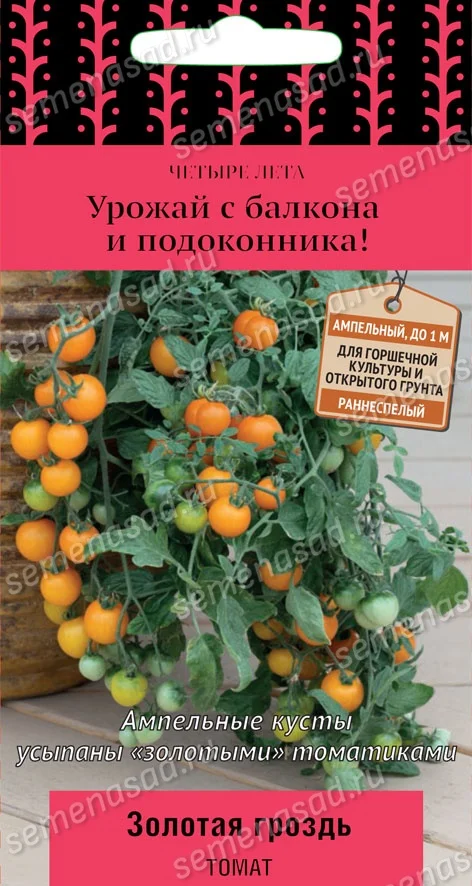 Золотая Гроздь