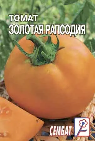 Золотая рапсодия  