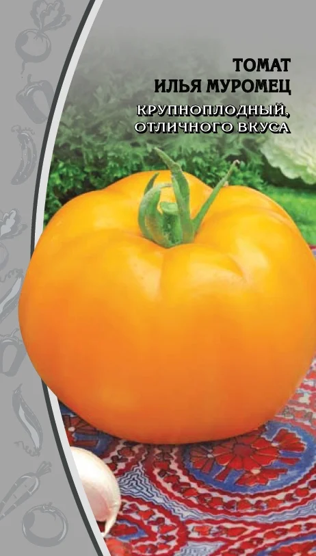 Илья Муромец 