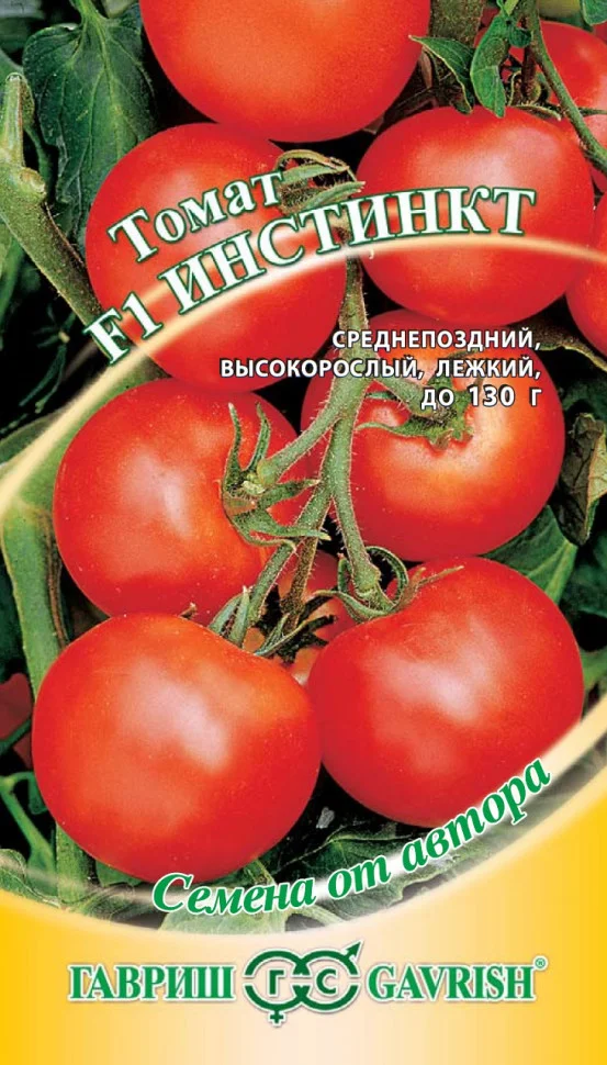 Инсипит