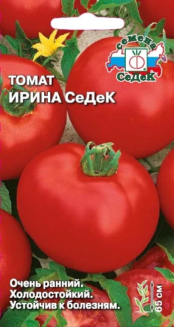 Ирина Седек