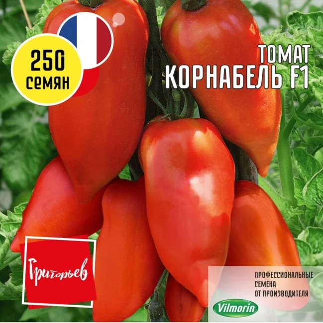 Миниатюра изображения сорта Корнабель