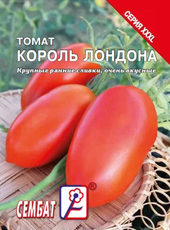 Король Лондона 