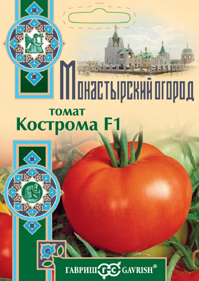 Кострома  