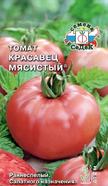 Красавец Мясистый