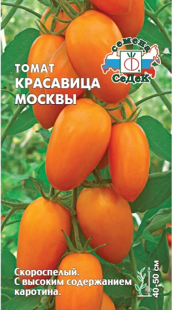 Красавица Москвы