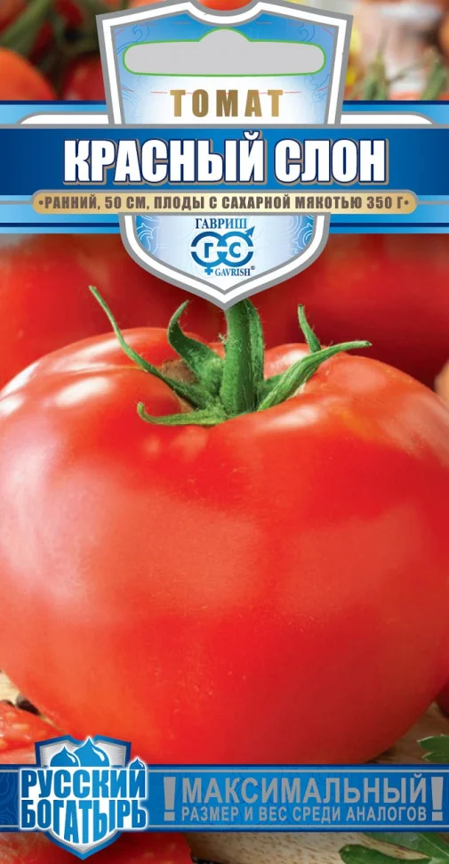 Красный слон 