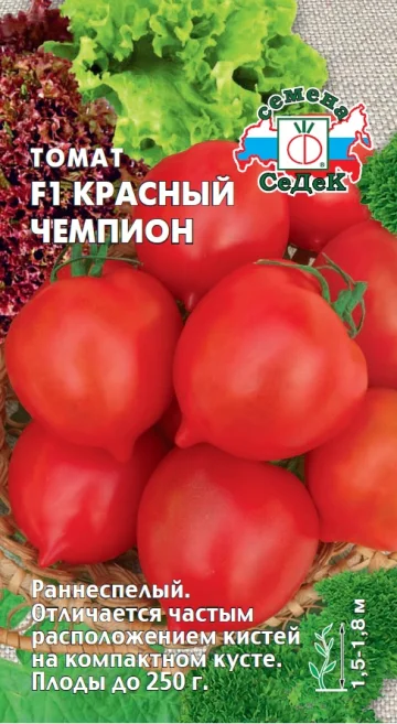 Миниатюра изображения сорта Красный чемпион 