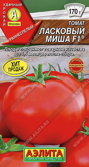 Ласковый Миша 