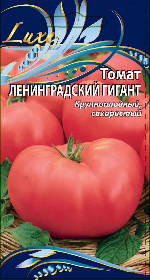 Ленинградский гигант 