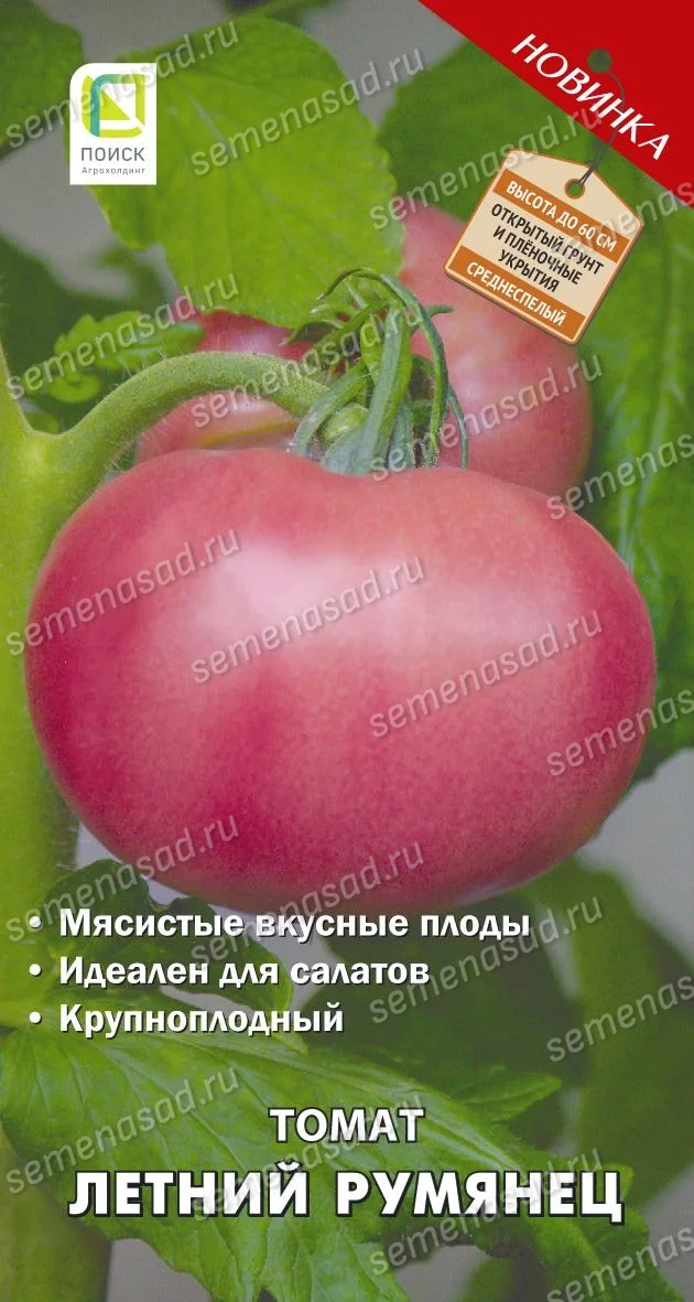 Летний Румянец