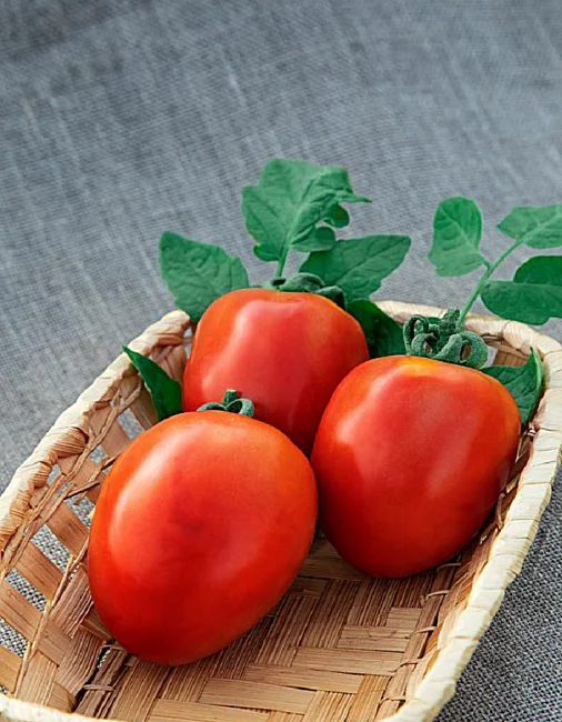 Миниатюра изображения сорта Лорд 