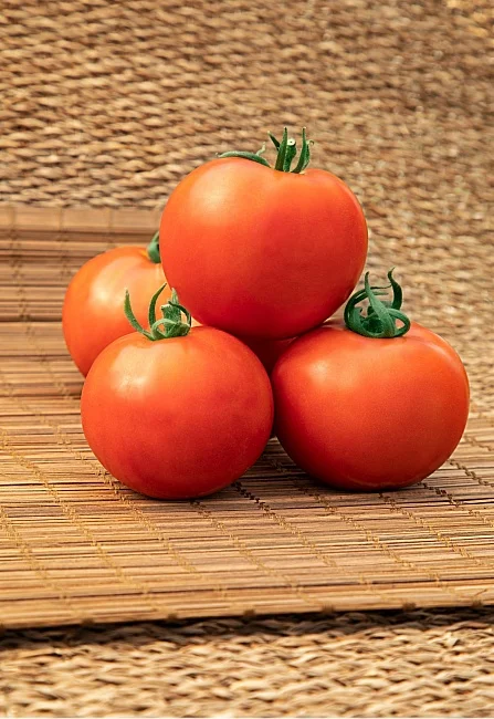 Миниатюра изображения сорта Любовь 