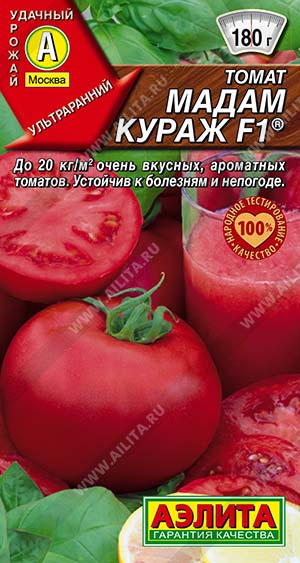 Мадам Кураж 